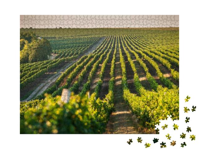 Puzzle 1000 Teile „Schöner Weinberg für den Weinanbau, Sommer“