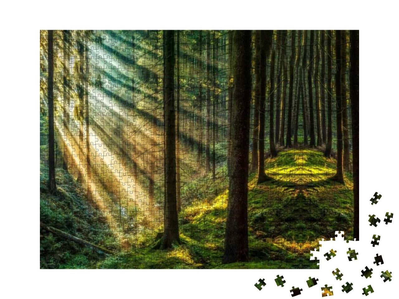 Puzzle 1000 Teile „Dunkler Wald mit Sonnenstrahlen, Sonnenlicht, Waldlandschaft“