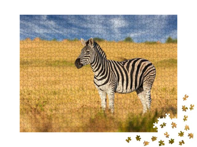 Puzzle 1000 Teile „Aufmerksames Zebra in der Savanne“