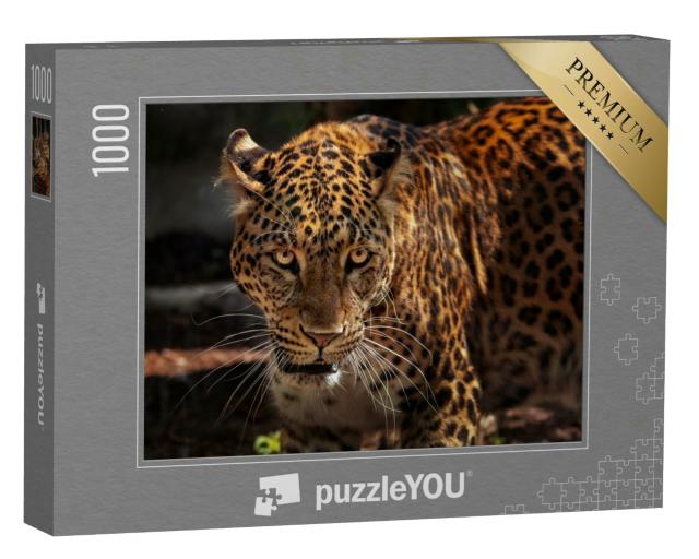 Puzzle 1000 Teile „Attraktives Bild eines starken Jaguars als Jäger“