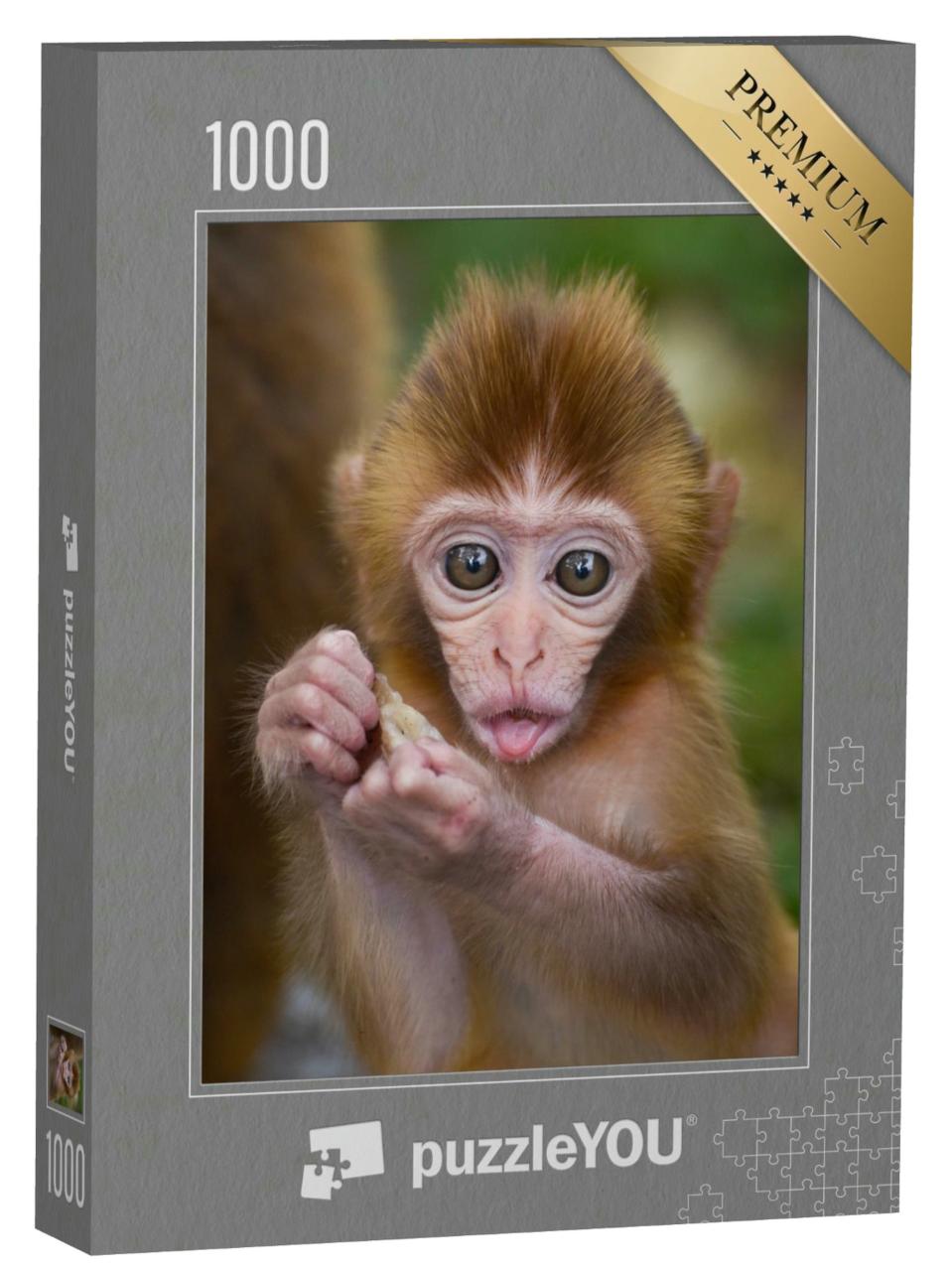 Puzzle 1000 Teile „Affenbaby beim Essen im Wald“