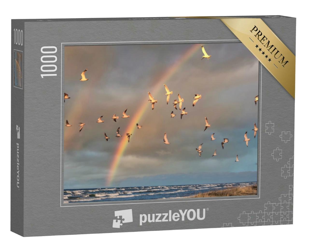 Puzzle 1000 Teile „Möwenschwarm im Flug unter einem Regenbogen an der Ostsee“