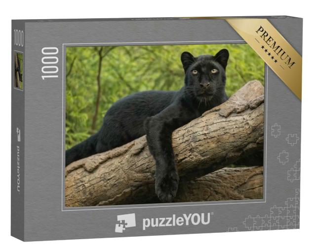 Puzzle 1000 Teile „Wildkatze, schwarzer Panther auf einem Baumstamm sitzend“