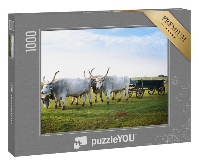 Puzzle 1000 Teile „Hortobagy National Park, Ungarn“