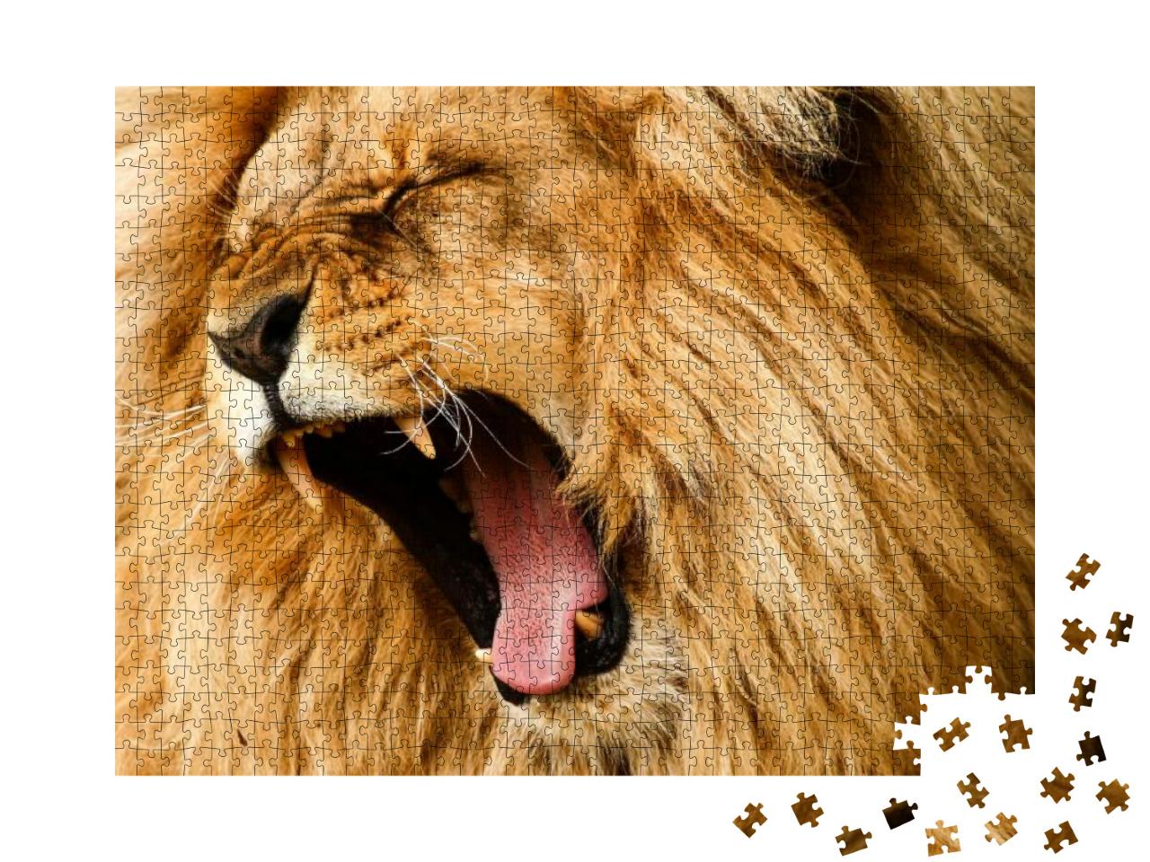 Puzzle 1000 Teile „Brüllender Löwe“