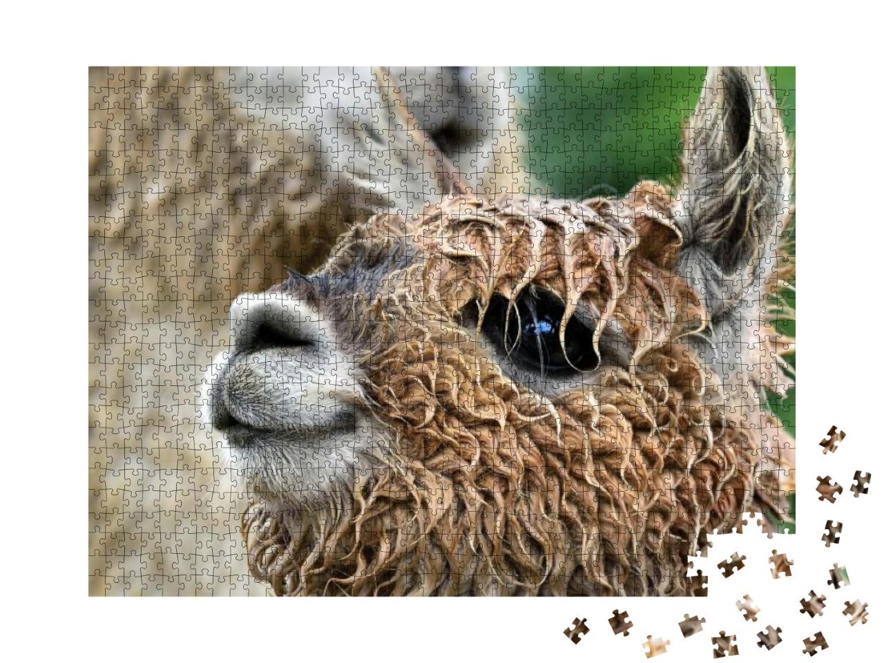 Puzzle 1000 Teile „Kopf eines kleinen süßen Lama-Alpaka“