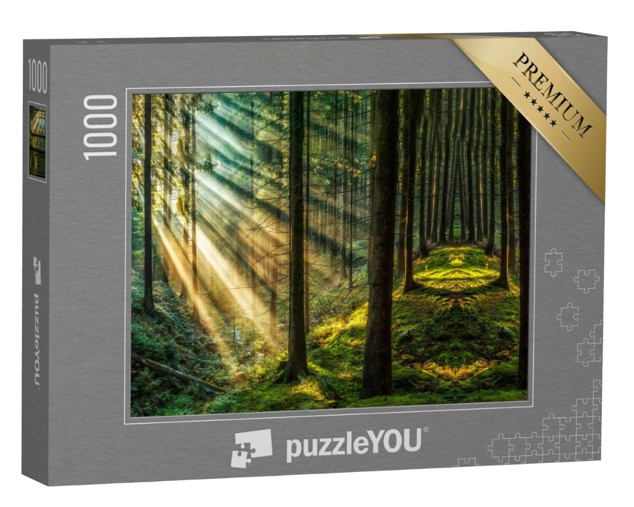 Puzzle 1000 Teile „Dunkler Wald mit Sonnenstrahlen, Sonnenlicht, Waldlandschaft“