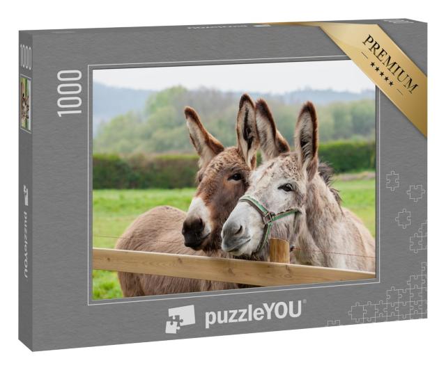 Puzzle 1000 Teile „Eselfamilie im Freien auf der Wiese“
