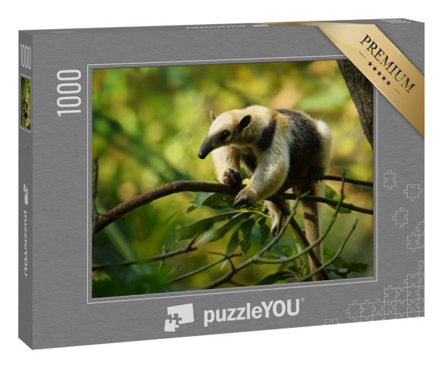 Puzzle 1000 Teile „Nördlicher Tamandua, Ameisenbär aus Mexiko“