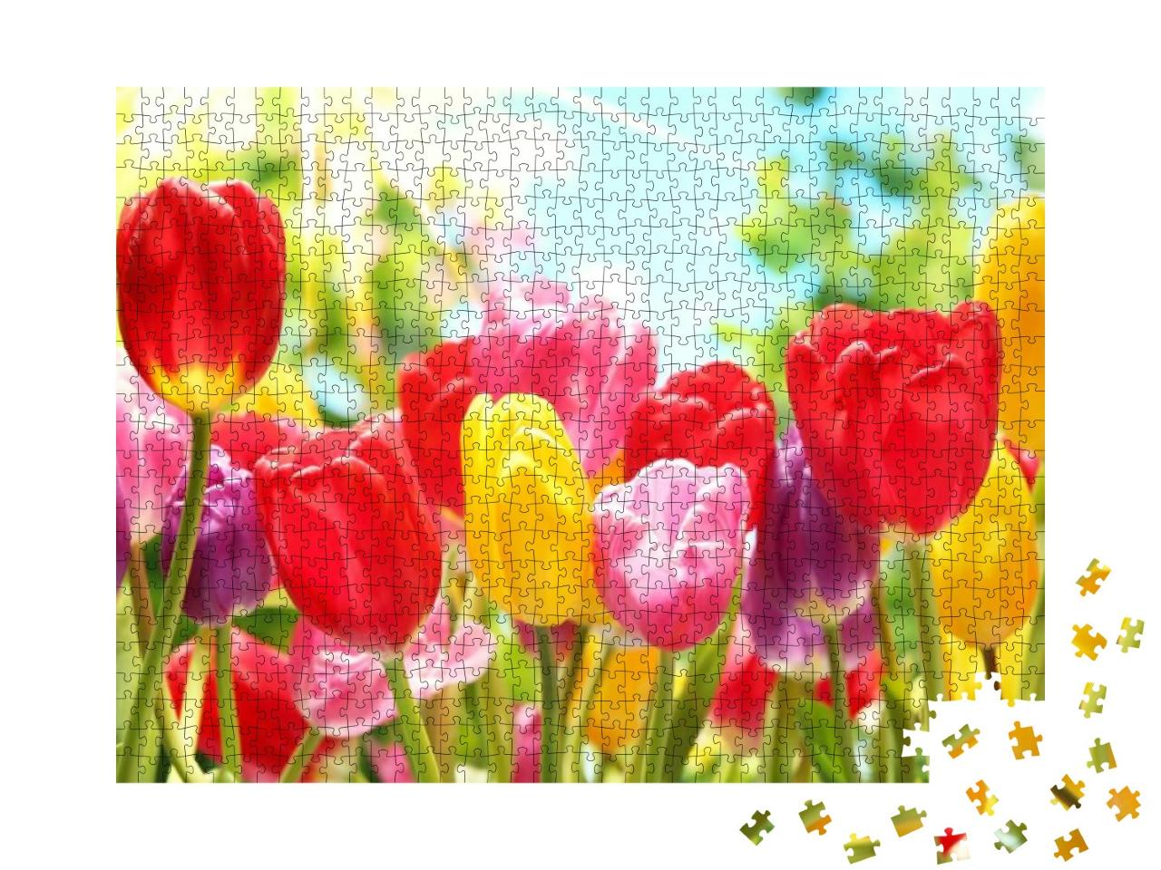 Puzzle 1000 Teile „Frische bunte Tulpen im warmen Sonnenlicht“