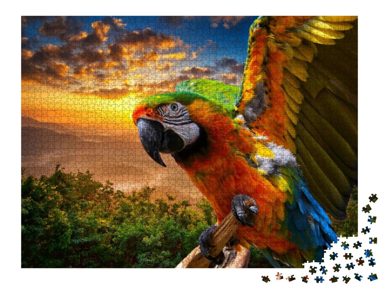 Puzzle 2000 Teile „Prächtige Farben der Natur: Ara im Sonnenuntergang“