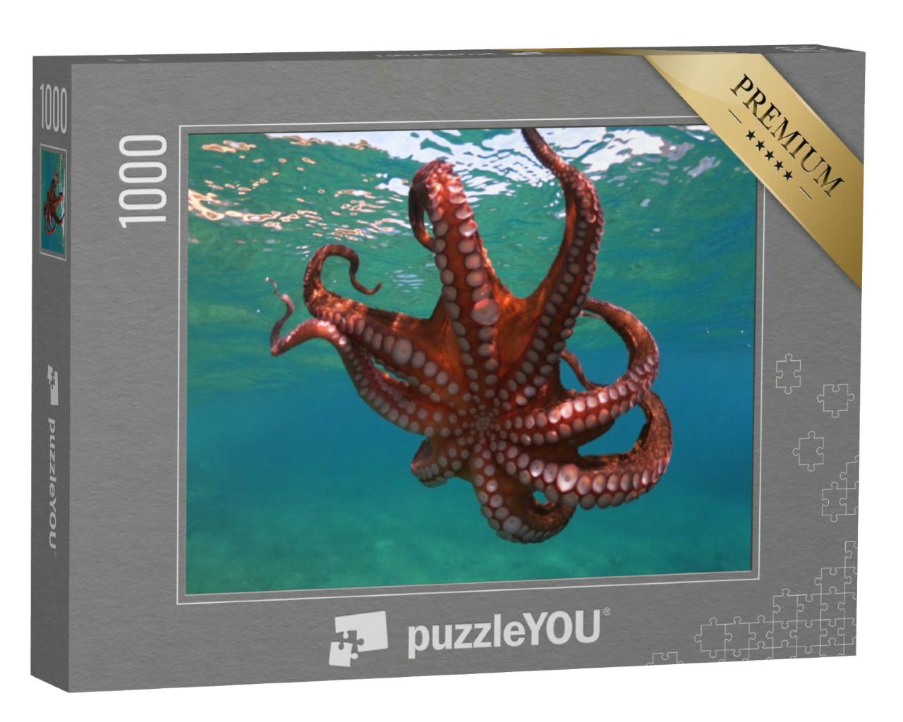 Puzzle 1000 Teile „Unterwasserfoto von schwimmendem Oktopus schwimmen in tropischer Bucht“