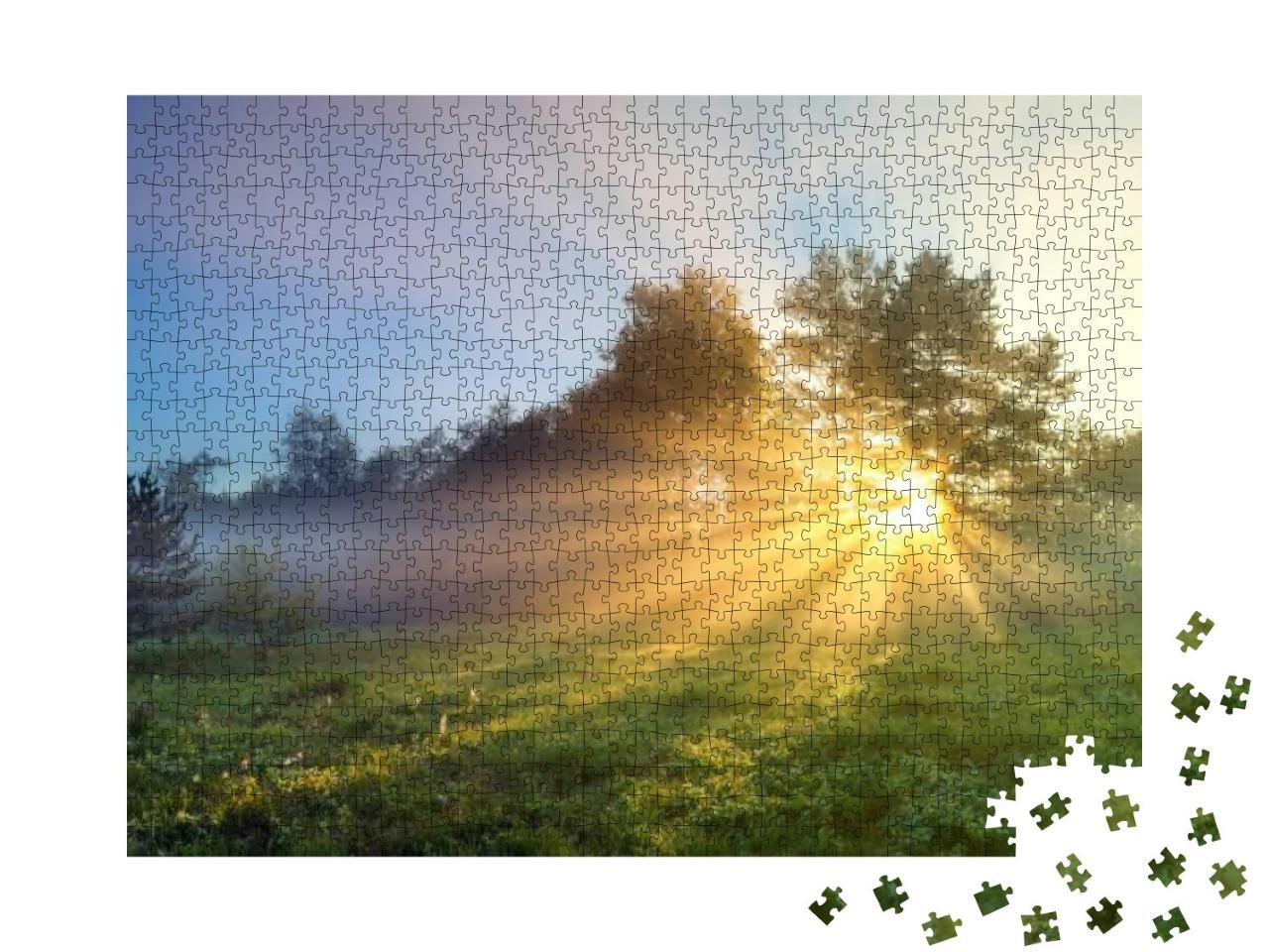 Puzzle 1000 Teile „Waldwiese im frischen Sonnenaufgang“