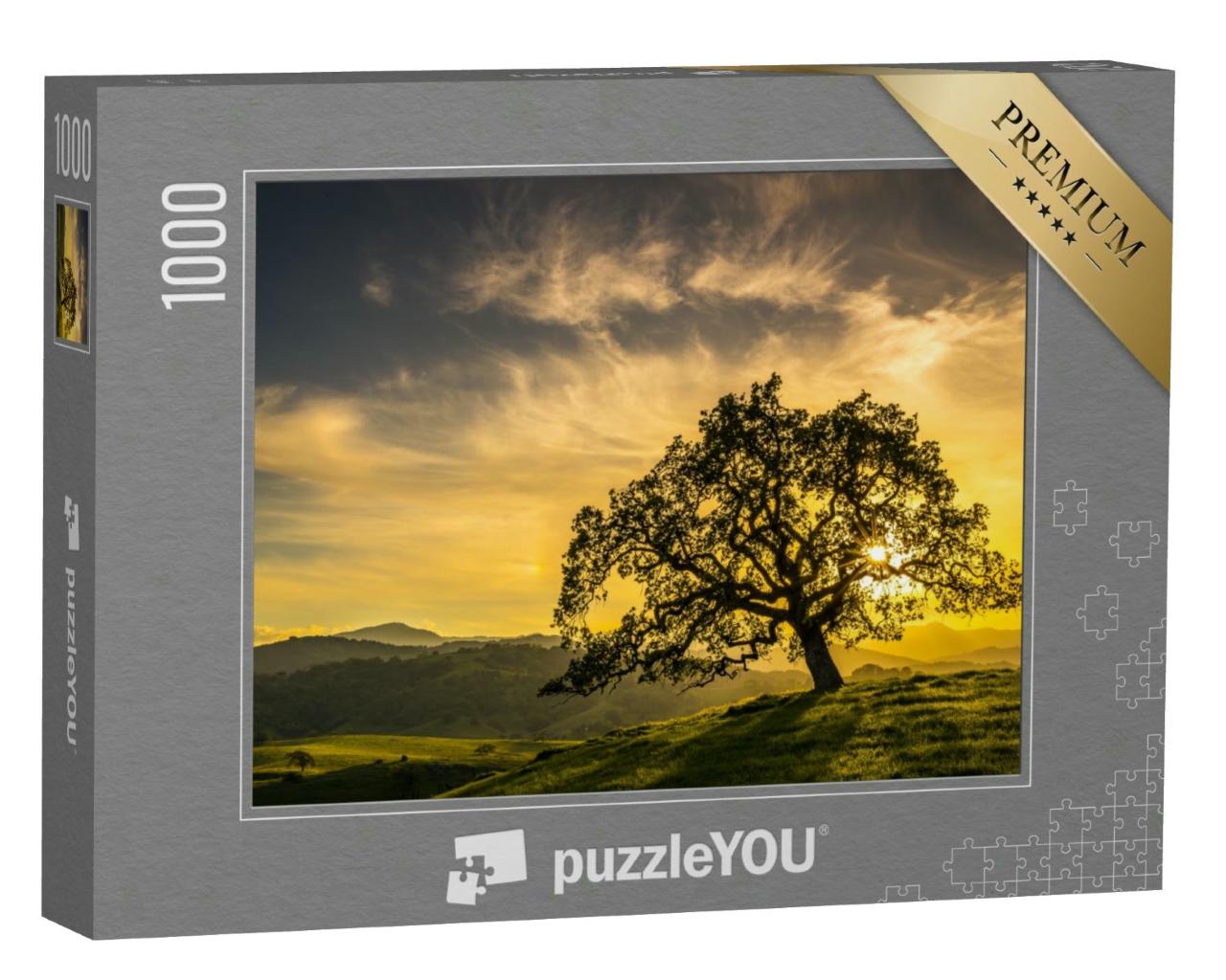Puzzle 1000 Teile „Sonnenuntergang durch eine Eiche in der Nähe von San Jose, Kalifornien“