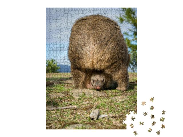Puzzle 1000 Teile „Australisches Wombatbaby in seinem Beutel“
