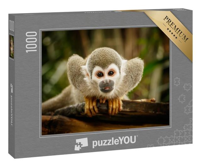 Puzzle 1000 Teile „Totenkopfäffchen im Amazonasgebiet“
