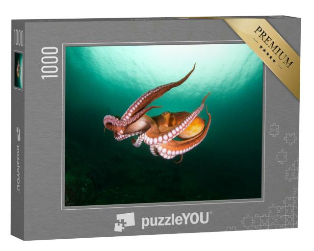 Puzzle 1000 Teile „Flug der Tintenfische in der Tiefsee, türkisfarbenes Meer“