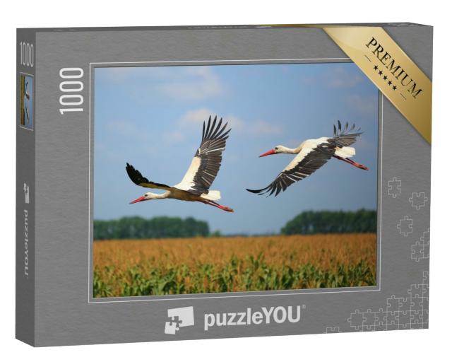 Puzzle 1000 Teile „Zwei Störche fliegen über ein Feld“