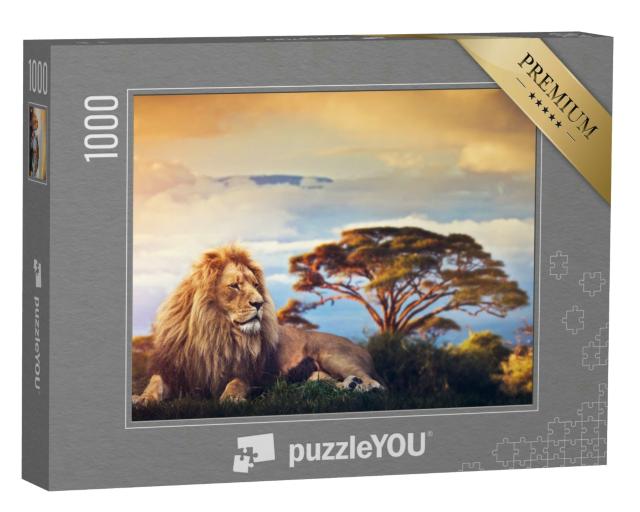 Puzzle 1000 Teile „Ein Löwe liegt inmitten der Savanne vor dem Kalimandscharo“
