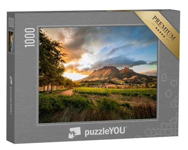 Puzzle 1000 Teile „Weinregion bei Stellenbosch mit Blick auf den Simonsberg, Südafrika“