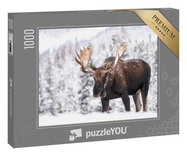 Puzzle 1000 Teile „Elch im Schnee in Jasper, Kanada“
