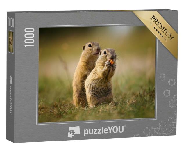 Puzzle 1000 Teile „Naturaufnahme: niedliche Erdhörnchen“