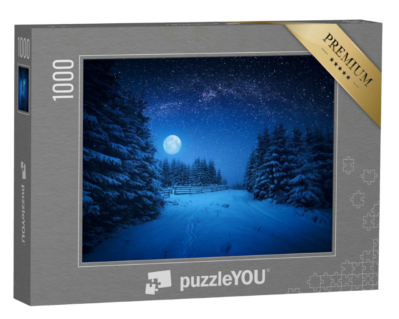 Puzzle 1000 Teile „Vollmond über einer Winternacht im Wald“
