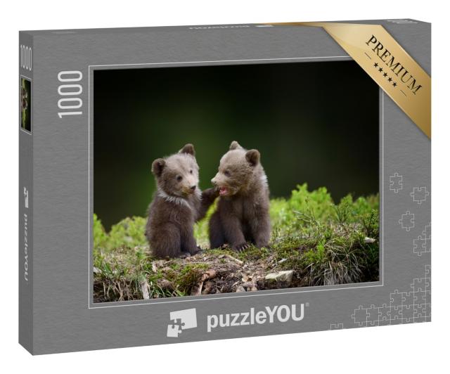 Puzzle 1000 Teile „Zwei kleine Bärenbabys im Wald“