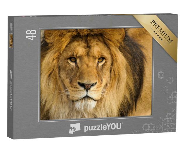 Puzzle 48 Teile „Portrait eines männlichen Löwen“