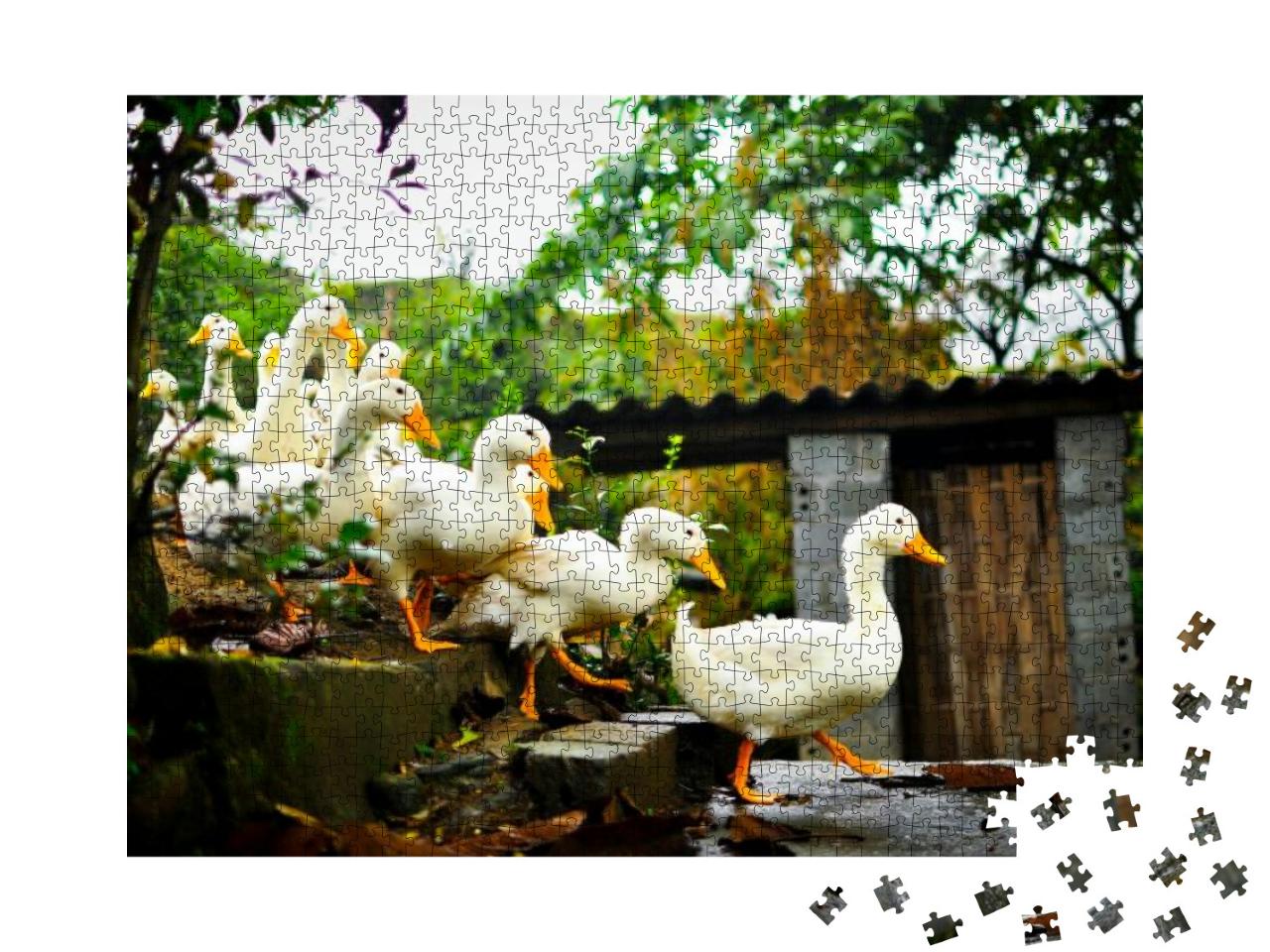 Puzzle 1000 Teile „Enten auf einer Treppe im Garten“