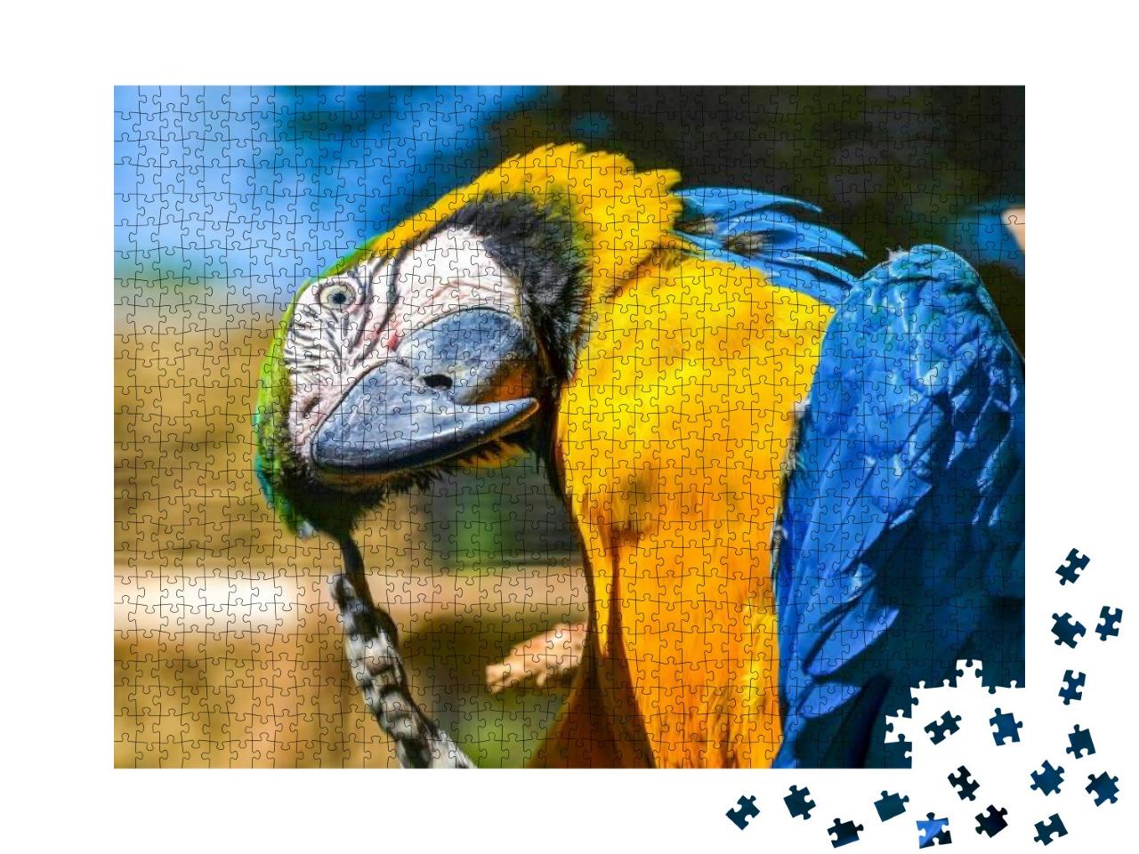 Puzzle 1000 Teile „Blau-gelber Ara“
