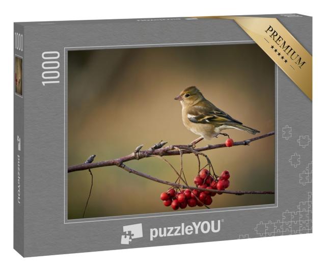 Puzzle 1000 Teile „Buchfink auf einem Zweig mit roten Beeren“
