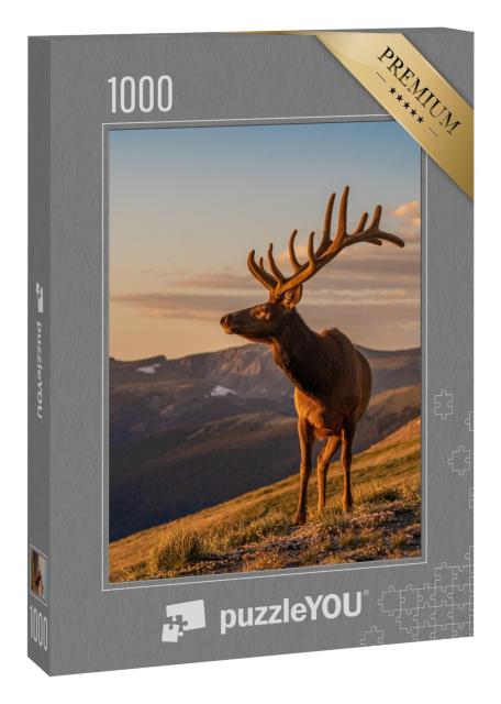 Puzzle 1000 Teile „Wilde Elche“