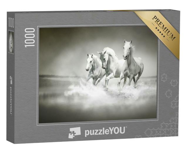 Puzzle 1000 Teile „Herde weißer Pferde, die durch Wasser laufen“