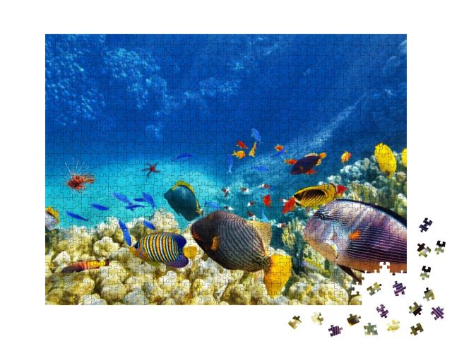Puzzle 1000 Teile „Unterwasserwelt mit Korallen und tropischen Fischen, blaues Meer, Sonnenstrahlen“