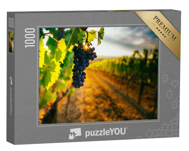 Puzzle 1000 Teile „Wunderschöner Sonnenuntergang über den Weinbergen der Toskana“