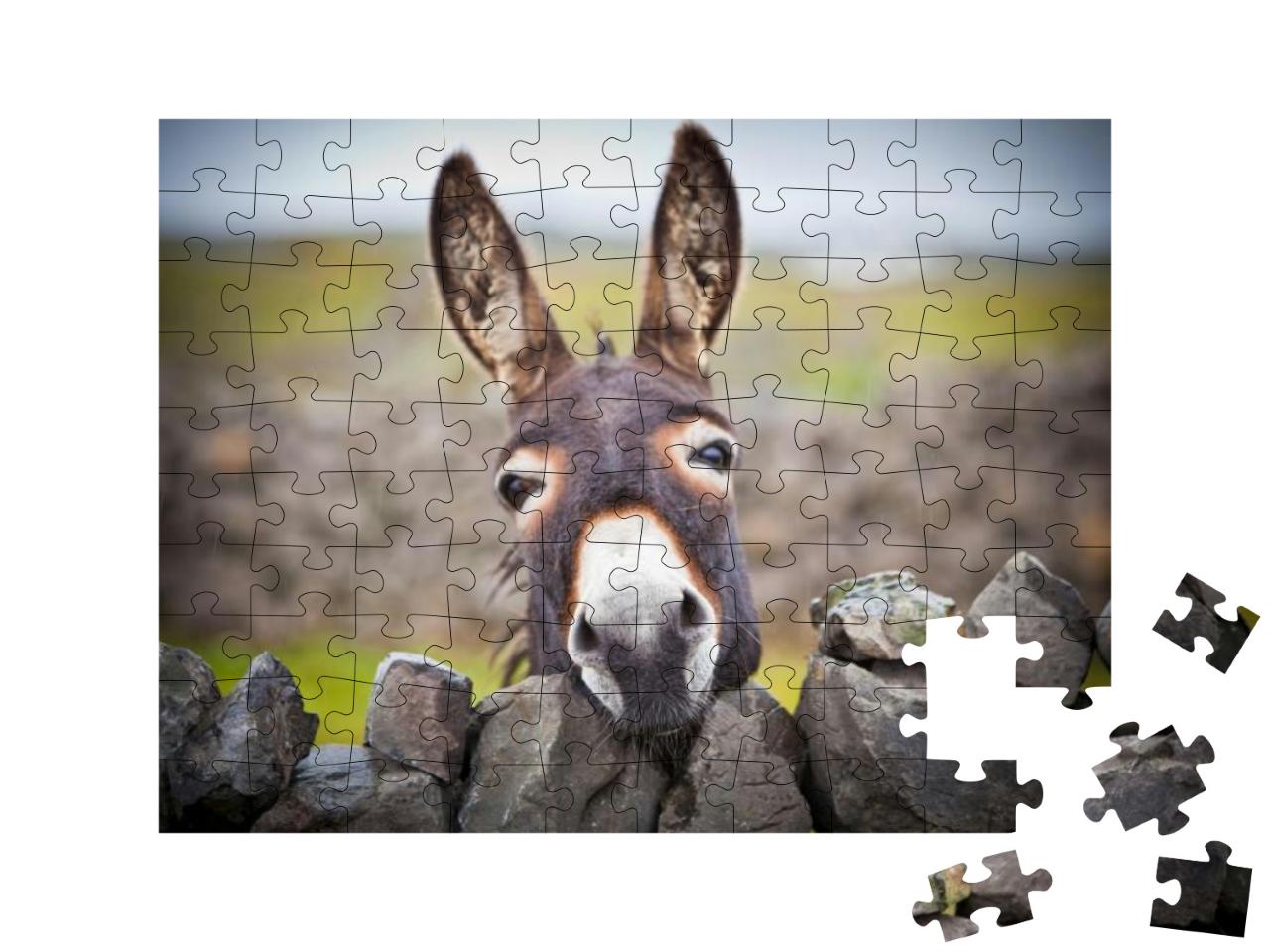 Puzzle 100 Teile „Ein neugieriger Esel“