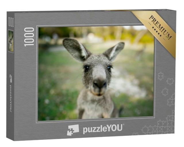 Puzzle 1000 Teile „Wo ist die Kamera?! Nahaufnahme eines Kängurus.“