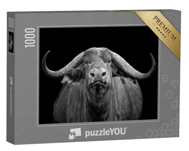 Puzzle 1000 Teile „Schwarz-Weiß-Foto: afrikanischer Büffel, Tsavo Ost Nationalpark“