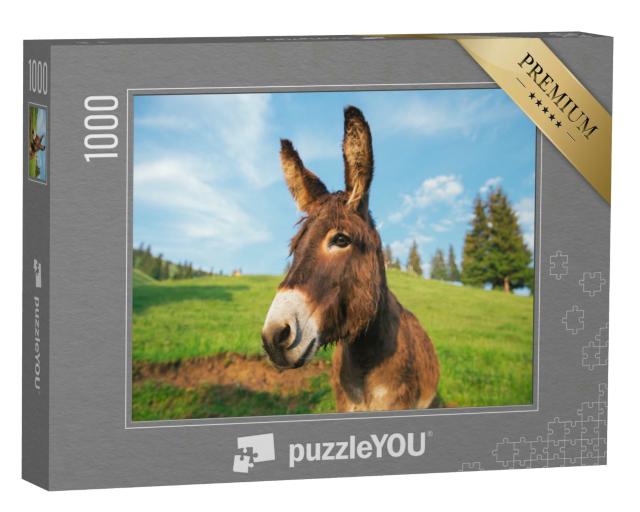 Puzzle 1000 Teile „Bild eines lustigen Esels bei Sonnenuntergang in Transsilvanien“