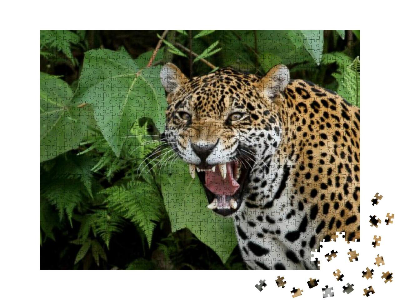 Puzzle 1000 Teile „Jaguar im Amazonaswald“