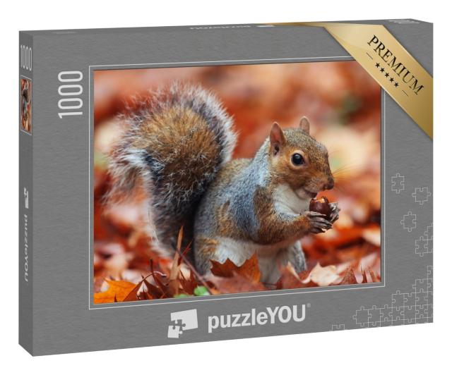 Puzzle 1000 Teile „Eichhörnchen, Herbst mit Eichel“