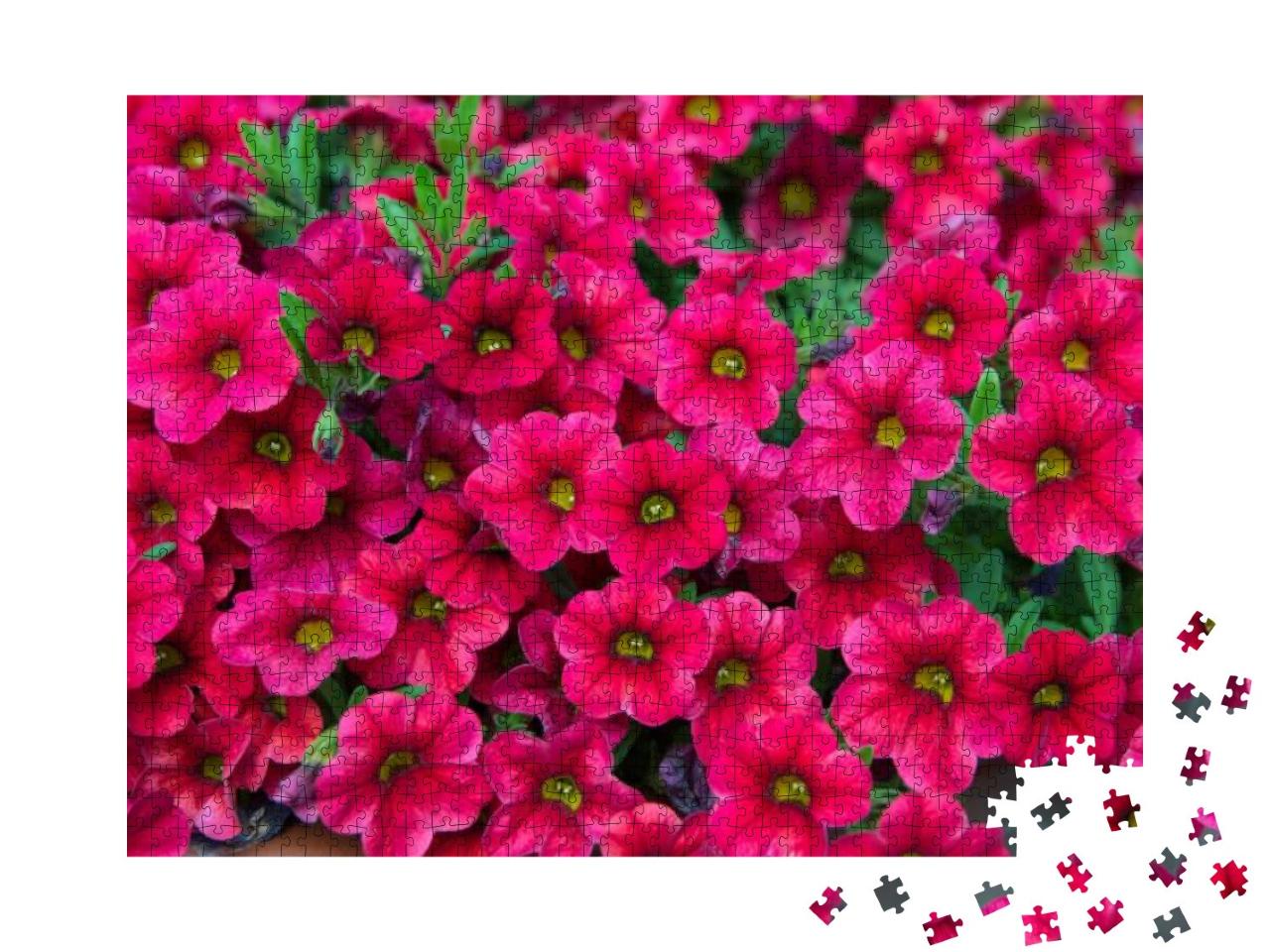 Puzzle 1000 Teile „Petunia-Pflanze mit rosa Blüten“