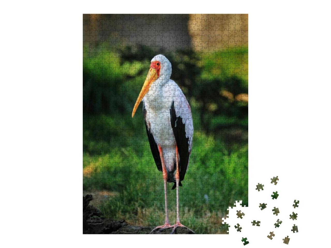 Puzzle 1000 Teile „Afrikanischer Gelbschnabelstorch, Mycteria ibis, stehend auf einem alten Baumstamm“