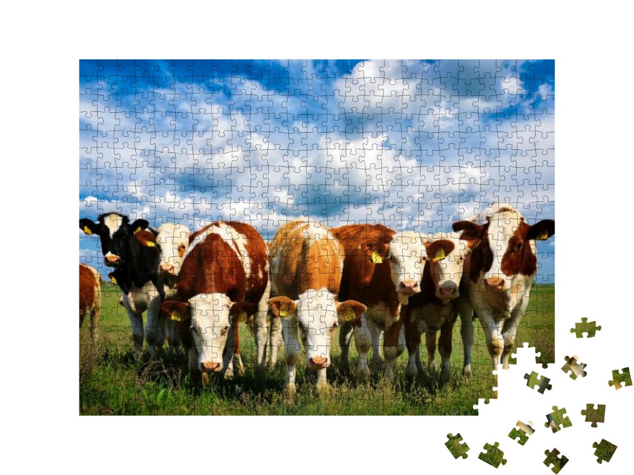 Puzzle 500 Teile „Kühe auf einer grünen Sommerwiese“