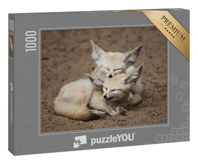 Puzzle 1000 Teile „Fennek-Füchse bei einer kleinen Pause“
