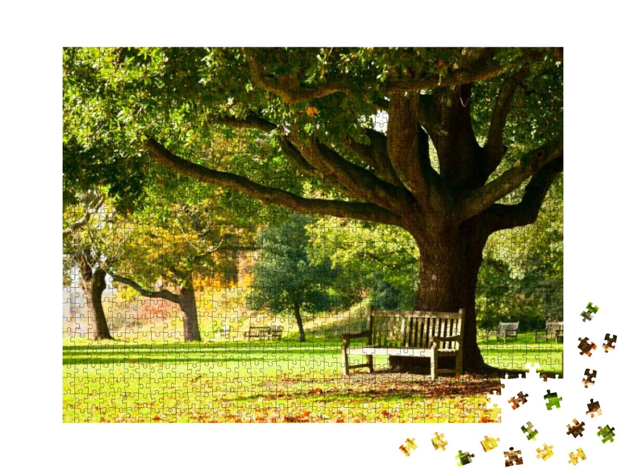 Puzzle 1000 Teile „Bank unter einem uralten Baum in den Royal Botanic Gardens, London“