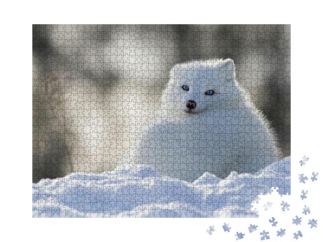 Puzzle 1000 Teile „Polarfuchs mit stechend blauen Augen“