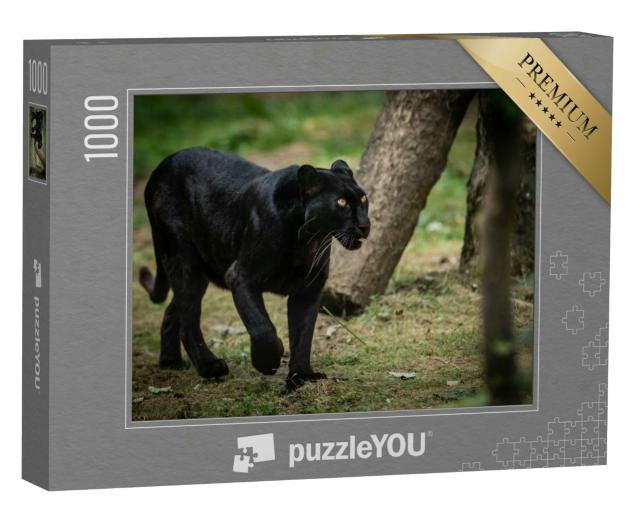 Puzzle 1000 Teile „Waldbild mit einem Panther“