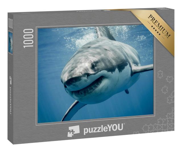 Puzzle 1000 Teile „Weißer Hai“